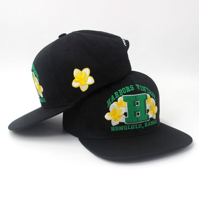 Hip Hop Custom 3D Embroidery Snapback Cap Baseball Hat Flat Brim Fitted Sports Adjustable